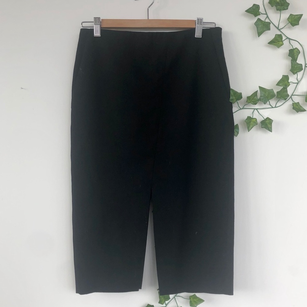Babaton (aritzia) skirt